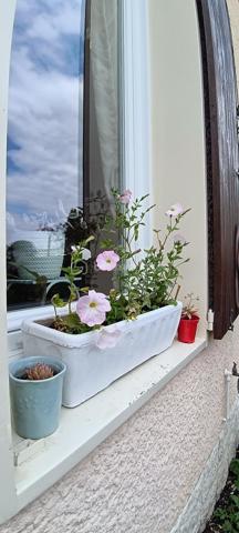 Vous recherchez votre nouveau foyer familial dans un cadre de vie idéal au calme au sein d'une ville verte, dynamique et conviviale?

Je vous propose cette belle et spacieuse maison parfaitement entretenue.
Une entrée avec rangement donne accés au garage complété par une cave. Vous y trouverez également des WC.
Quelques marches vous méneront d'un côté à un charmant salon doté d'une trés belle hauteur sous plafond et de l'autre à une salle à manger et sa cuisine indépendante et équipée. Une belle terrasse et un jardin vous permettront de passer de bons moments en famille ou entre amis.

A l'étage supérieur, l'espace nuit se compose d'une suite parentale avec sa salle de douche et de deux autres chambres. Chaque chambre possède son propre dressing. Une salle de bain, des WC indépendants et des rangements complètent ce niveau.

Les plus:
- aucun travaux à prévoir, DPE C.
- maison mitoyenne des deux côtés avec des murs en béton assurant une isolation optimale.
- environnement calme dans une impasse
- groupe scolaire de la Fosse Cornue à 2mn à pieds, collège des Maillettes à 5mn, lycée de la marre carrée à 15mn.
- à proximité des terrains de sports, du conservatoire, du centre ville et des transports en bus
- gare de Lieusaint-Moissy à 5mn en voiture ou 14mn en bus; un direct pour Paris le matin et le soir.

Cette belle maison n'attend plus que vous.
Appelez-moi vite pour organiser une visite!

Proposition d'aménagement intérieur suggéré par l'IA