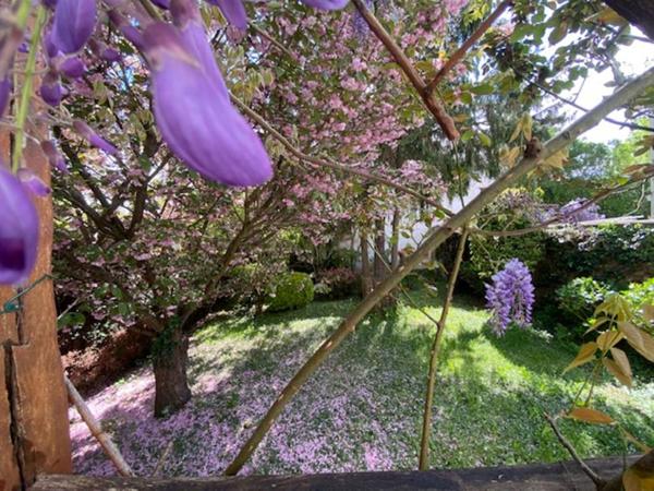 MAISON INDIVIDUELLE DE  (8 PIECES)