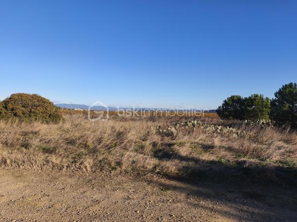 Terrain agricole de 35 000 m²