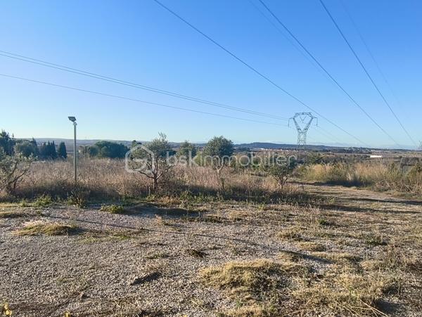 Terrain agricole de 35 000 m²