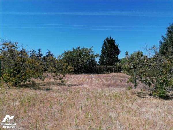 PAVILLON SUR SOUS SOL