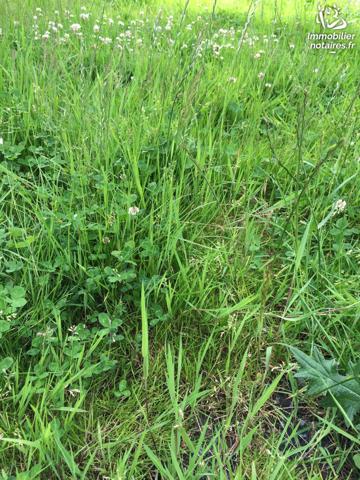 Terrain à AUTREPPES