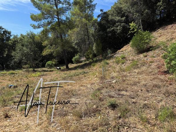 Centre ville à pied!