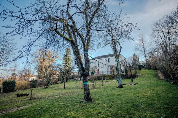 Maison Soultz Haut Rhin