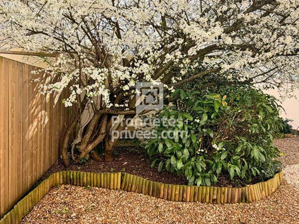 EXCLUSIVITÉ À VENDRE : STUDIO / T1 BIS 21M2 IDÉAL INVESTISSEUR, TOURS PRÉBENDES (37000)