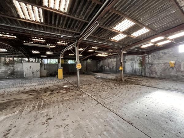 Vente murs / Local activité