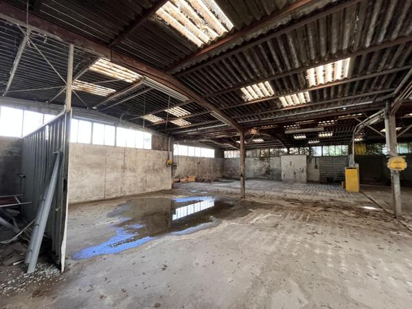 Vente murs / Local activité