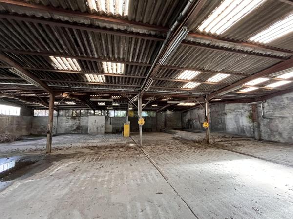 Vente murs / Local activité