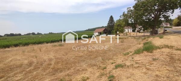 Terrain à batir avec vue sur les vignes !