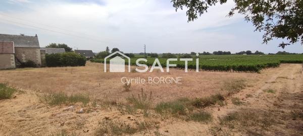 Terrain à batir avec vue sur les vignes !
