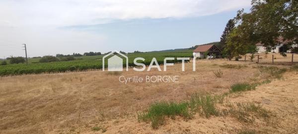 Terrain à batir avec vue sur les vignes !