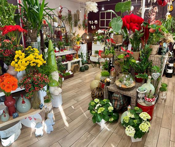 Fonds de commerce 1 pièce(s) 60 m²