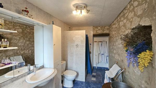 Condom (32100) PROPRIETE AVEC GITE ET CAMPING - TERRAIN D'ENVIRON 1HA ET PISCINE / PROCHE CONDOM