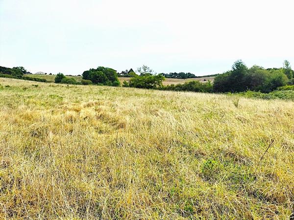 À vendre - Terrain agricole 267883 m² situé à Margouët-Meymes (32290)