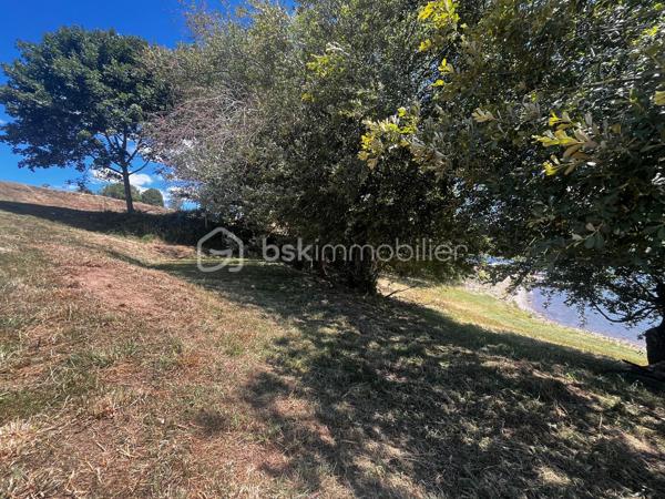 Offrez-vous un véritable coin de paradis au bord du lac de Pareloup.

Situé en première ligne, les pieds dans l’eau, ce terrain de loisirs bénéficie d’un accès direct au lac, d’une vue imprenable sur l’eau et d’un environnement naturel préservé.

En partie ombragé, il offre un cadre idéal pour profiter des beaux jours en toute sérénité. Ici, le calme, la nature et l’accessibilité se conjuguent parfaitement pour créer un lieu unique, propice à la détente, aux loisirs et aux moments partagés en famille ou entre amis.

Les atouts :
* Première ligne sur le lac de Pareloup
* Accès privé au lac
* Vue panoramique exceptionnelle
* Terrain en partie ombragé
* Environnement calme et naturel
* Un emplacement rare et recherché

Les opportunités de ce type sont extrêmement rares sur le lac de Pareloup.

Pour plus d’informations ou organiser une visite, contactez-moi dès maintenant.