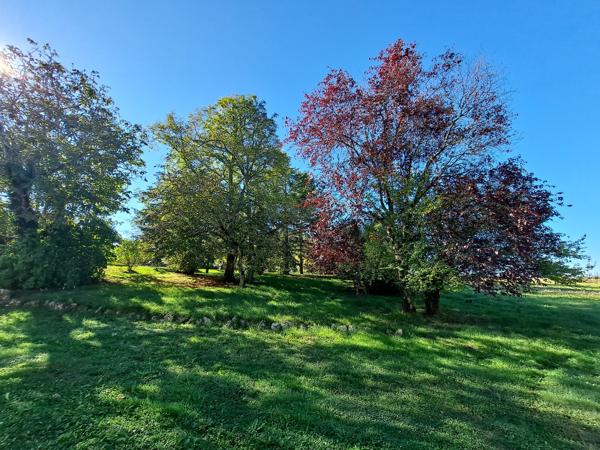 Belle Propriété en Pierre Isolée avec Potentiel d'Aménagement