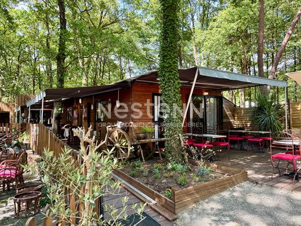 A vendre - Guinguette - Fonds de commerce - Site de loisirs - Parc boisé 1,76 ha - D6065