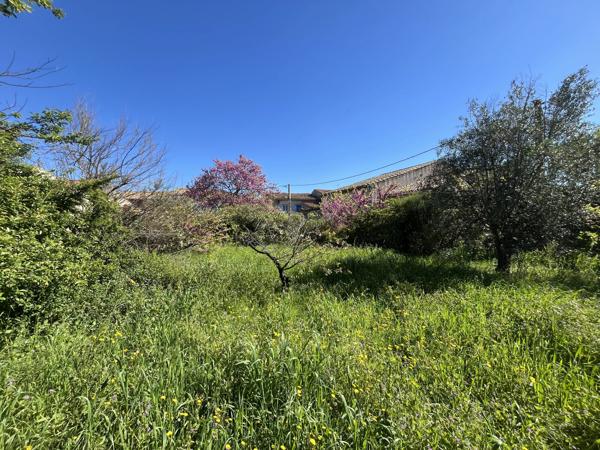 Terrain à bâtir arboré de 257 m2 – Trausse