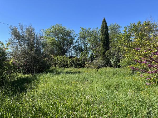 Terrain à bâtir arboré de 257 m2 – Trausse