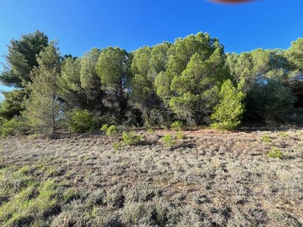 TERRAIN VIABILISE - 2 850m² - A 6KM DE LIMOUX