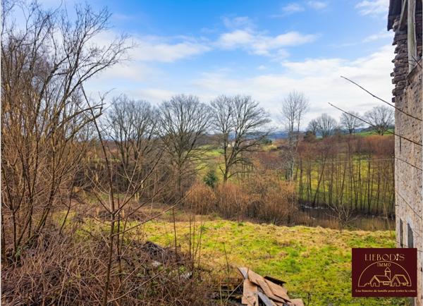 Hadol (88220) Belle bâtisse rénovée avec jardin, bois et pâtures