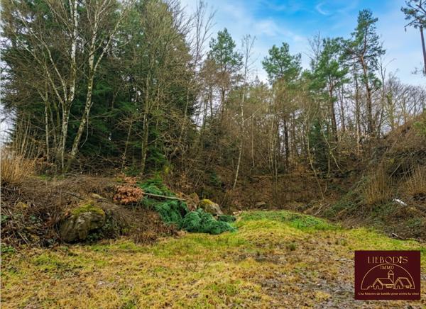 Hadol (88220) Belle bâtisse rénovée avec jardin, bois et pâtures