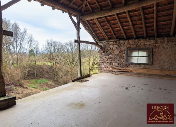 Hadol (88220) Belle bâtisse rénovée avec jardin, bois et pâtures