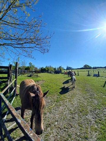 Terrain à vendre    Gamaches