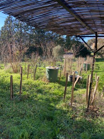 Maisons  de charme en pierre de pays 6 chambres , gite de rapport indépendant et jardin