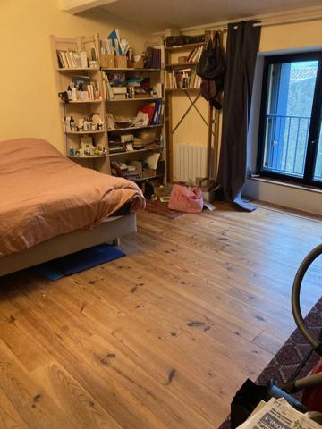 Maisons  de charme en pierre de pays 6 chambres , gite de rapport indépendant et jardin