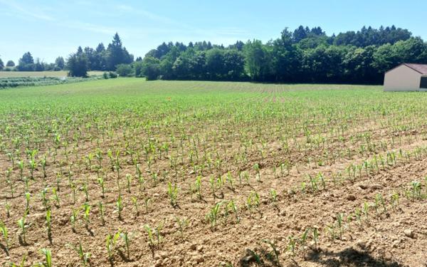 Terrain à vendre    Glandon