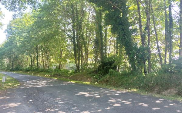 Terrain à vendre    Glandon