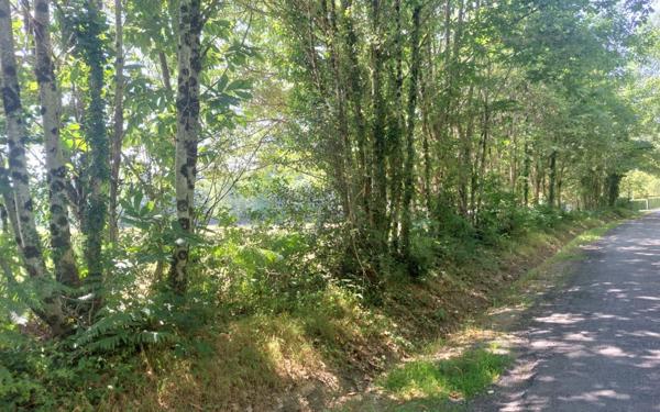 Terrain à vendre    Glandon