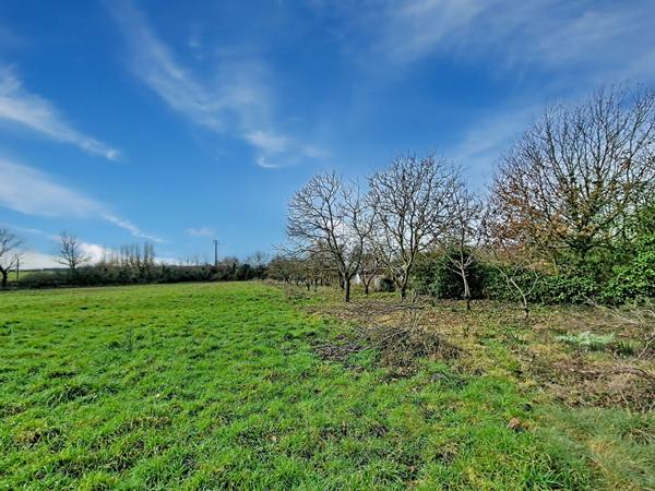 Terrain Lys Haut Layon 4790 m2