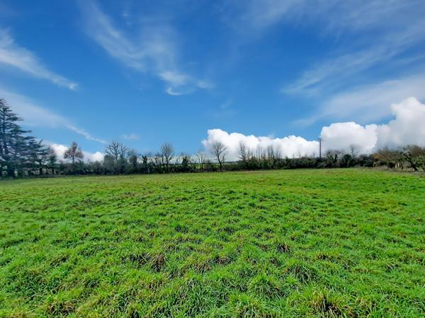 Terrain Lys Haut Layon 4790 m2