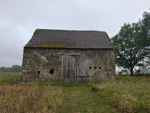 À vendre - Terrain projet construction 2870 m² situé à Assé-le-Boisne (72130)