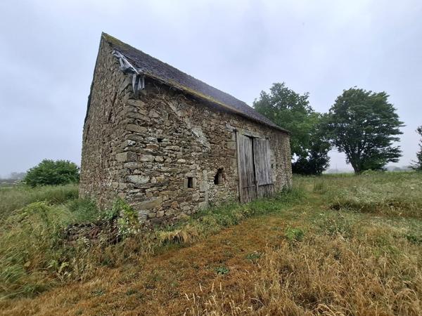 À vendre - Terrain projet construction 2870 m² situé à Assé-le-Boisne (72130)