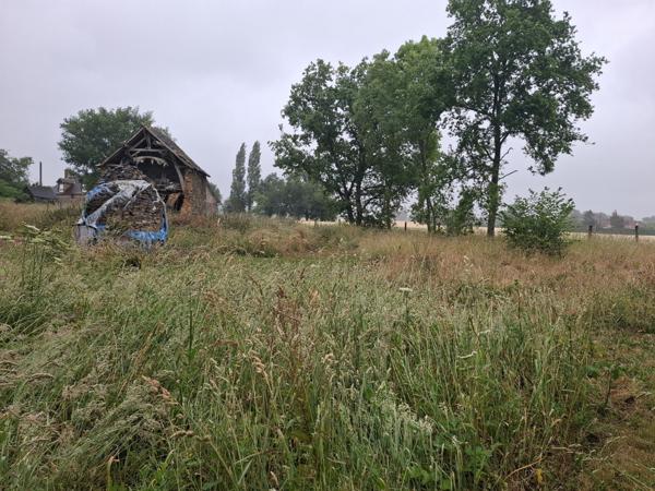 À vendre - Terrain projet construction 2870 m² situé à Assé-le-Boisne (72130)