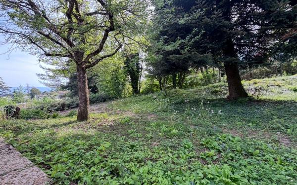 Maison à vendre    5 pièces • 207 m2 Gex