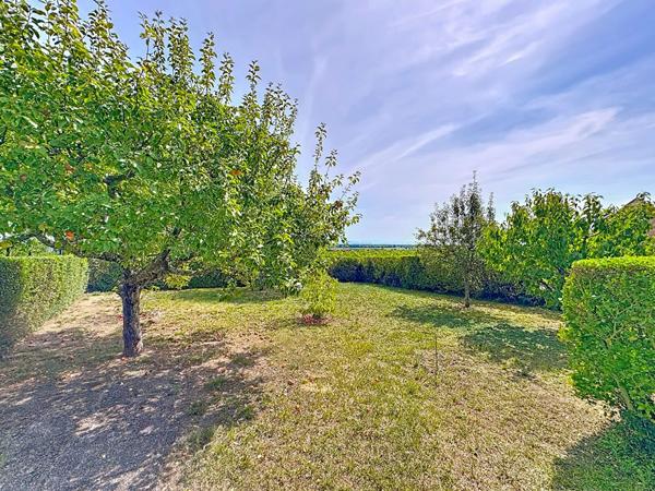 Sous Compromis Dambach-la-ville Sous Compromis Dambach-la-ville