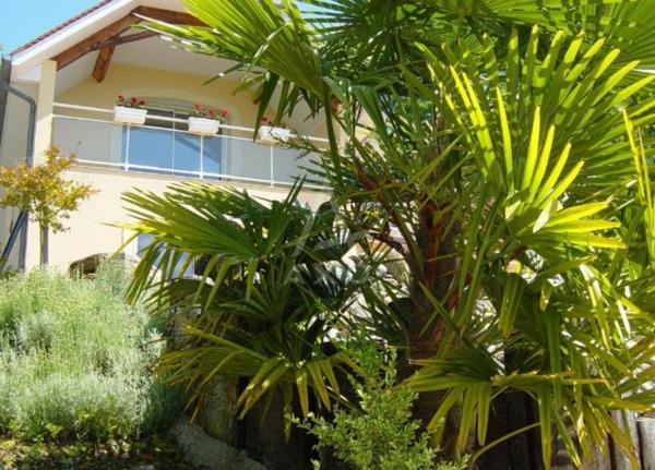 UNIQUE BIEN D'EXCEPTION NICHEE DANS LES COTEAUX SUD JURANCON