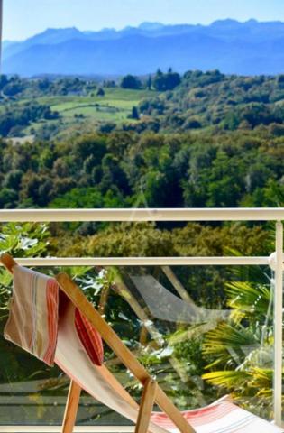 UNIQUE BIEN D'EXCEPTION NICHEE DANS LES COTEAUX SUD JURANCON