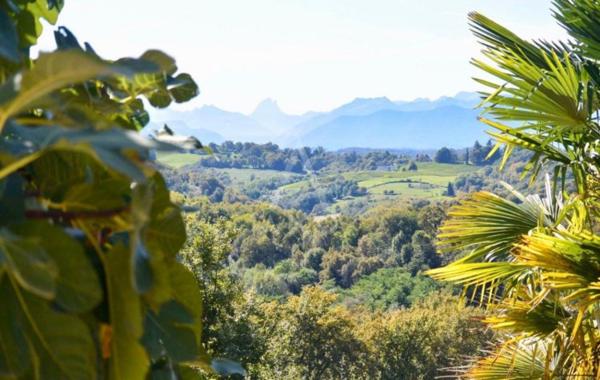UNIQUE BIEN D'EXCEPTION NICHEE DANS LES COTEAUX SUD JURANCON