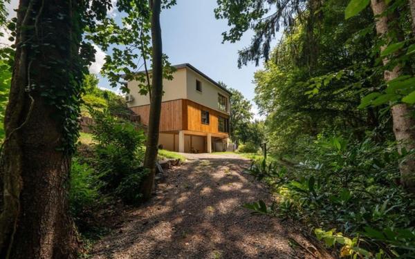 Maison à vendre    8 pièces •  Saint-Dié-des-Vosges