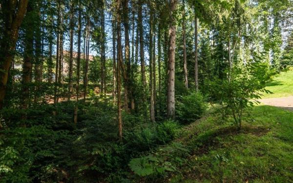 Maison à vendre    8 pièces •  Saint-Dié-des-Vosges