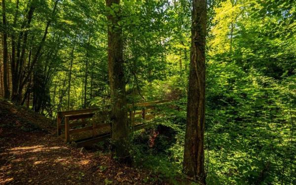 Maison à vendre    8 pièces •  Saint-Dié-des-Vosges