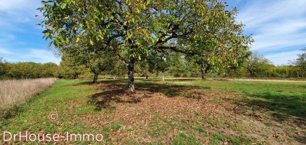 Terrain à vendre de 4 100 m²