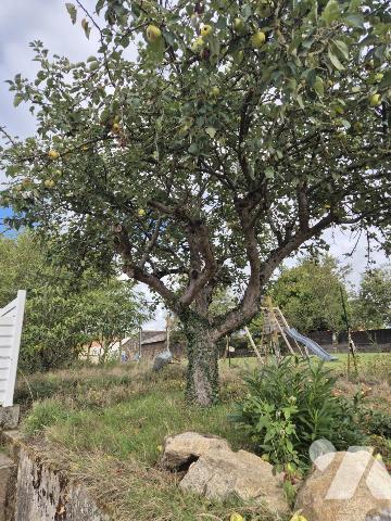 Maison de bourg de plain-pied