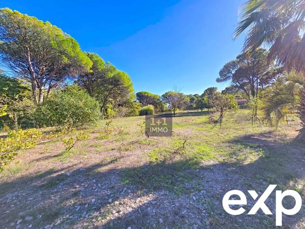 Magnifique villa avec 9400m2 de terrain