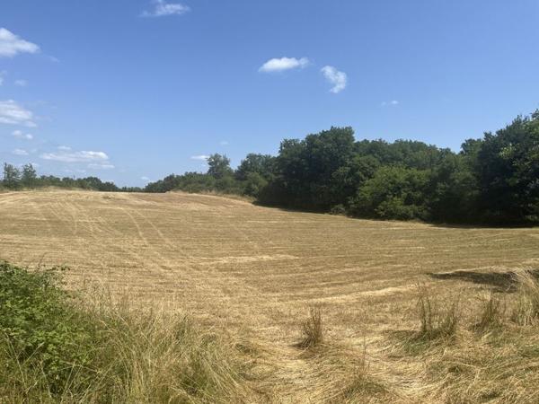 Terrain à vendre |  Baladou |  28965 m²